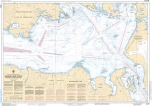 thumbnail for chart Juan de Fuca Strait, Eastern Portion/Partie Est
